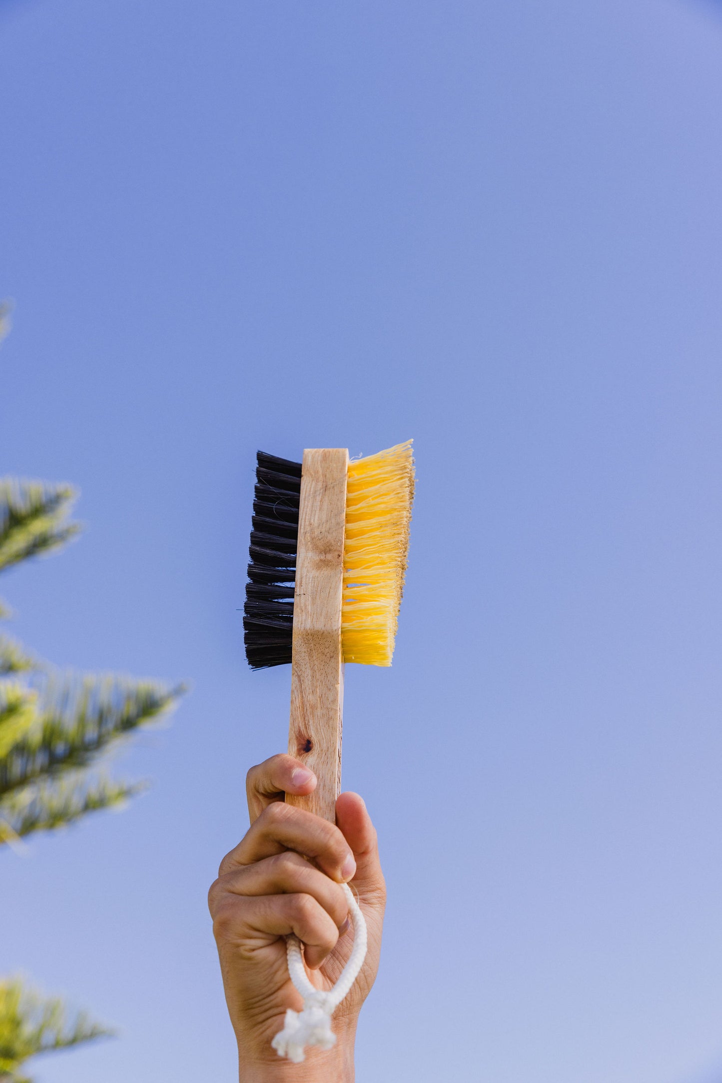 Brush Bundle - Beach Brush + Muddy Good Brush
